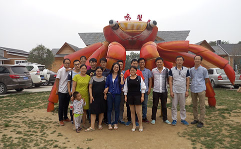 團隊經驗足
